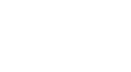 Dub